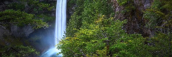 Kanada, Wodospad, Brandywine Falls, Skały, Las, Kolumbia Brytyjska, Drzewa