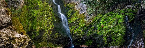 Kosowo, White Drin Waterfall, Wodospad, Roślinność, Skały