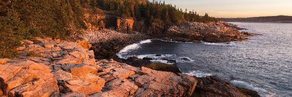 Stany Zjednoczone, Drzewa, Park Narodowy Acadia, Skały, Morze, Maine, Stan