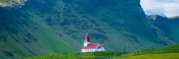 Vik i Myrdal, Kwiaty, Kościół, Islandia, Trawa, Góry