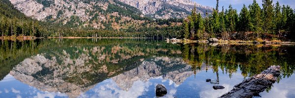 Taggart Lake, Jezioro, Stany Zjednoczone, Wyoming, Park Narodowy Grand Teton, Chmury Odbicie, Drzewa, Góry, Las