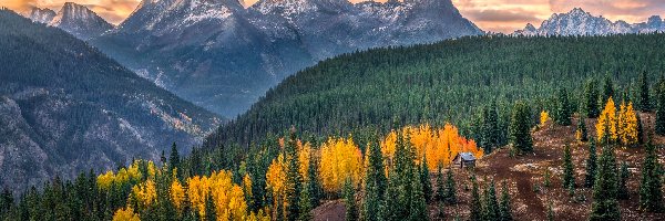 San Juan Mountains, Kolorado, Chata, Lasy, Góry, Jesień, Drzewa, Stany Zjednoczone