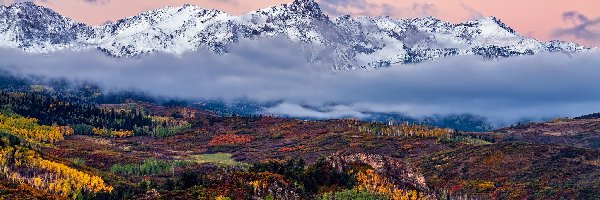 Lasy, Jesień, Pożółkłe, Kolorado, Chmury, Szczyt, Góry Skaliste, Mgła, Mount Sneffels, Stany Zjednoczone, Drzewa
