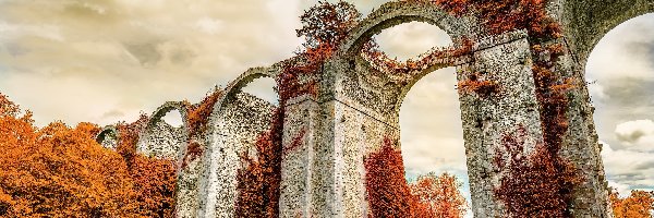 Jesień, Most, Drzewa, Zabytek, Akwedukt Maintenon, Francja