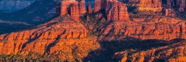 Sedona, Skały, Cathedral Rock, Drzewa, Arizona, Stany Zjednoczone