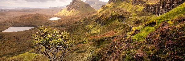 Wyspa Skye, Drzewo, Chmury, Wzgórza, Góry, Szkocja, Quiraing, Jeziora, Wzgórze