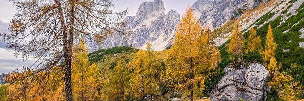 Kamienie, Góry, Alpy, Salzburg, Austria, Jesień, Drzewa