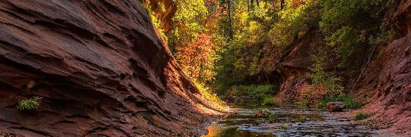 Stany Zjednoczone, Sedona, Skały, Rzeka, Arizona, Jesień, Drzewa, West Fork Oak Creek