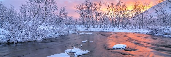 Zima, Śnieg, Rzeka, Drzewa, Bezlistne