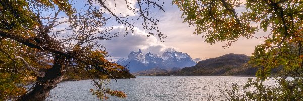 Jezioro, Park Narodowy Torres del Paine, Góry, Drzewa, Patagonia, Chile