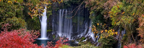 Kolorowe, Shiraito Falls, Japonia, Prefektura Shizuoka, Skały, Drzewa, Jesień, Wodospad