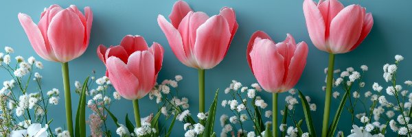 Kompozycja, Kwiaty, Białe, Tulipany, Różowe