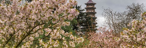 Pagoda, Drzewa, Wieża, Wiosna, Kwiaty