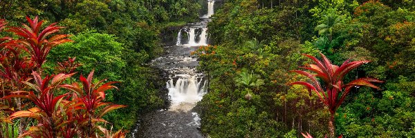 Umauma Falls, Hawaje, Umauma River, Rzeka, Wodospad, Roślinność, Drzewa, Stany Zjednoczone
