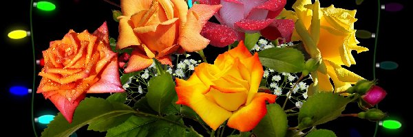 Kwiaty, Róże, Kolorowe, Krople, Bukiet