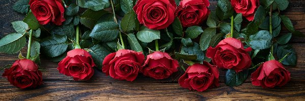 Drewno Kwiat, Róże, Czerwone