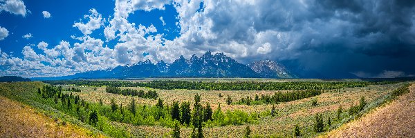 Równina, Wyoming, Niebo, Chmury, Park Narodowy Grand Teton, Drzewa, Góry, Stany Zjednoczone
