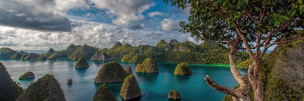 Morze, Raja Ampat, Drzewa, Chmury, Wyspy, Indonezja