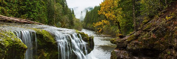 Lewis River, Waszyngton, Drzewa, Las, Rzeka, Skały, Kamienie, Stany Zjednoczone