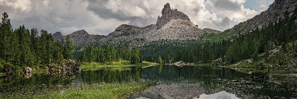 Kamienie, Góry, Chmury, Drzewa, Skały, Jezioro, Lago Federa, Włochy, Dolomity, Trawa