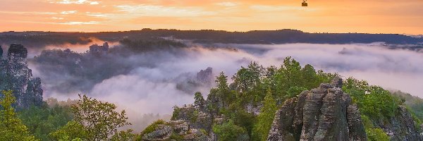 Drzewa, Góry Połabskie, Skały, Park Narodowy Saskiej Szwajcarii, Niemcy, Balon, Mgła