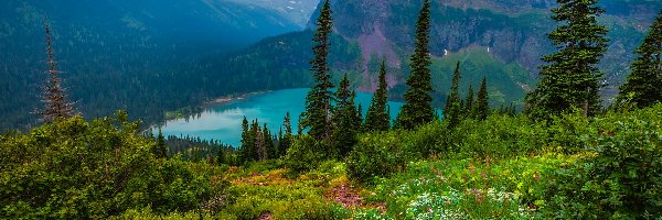 Jezioro, Góry, Stany Zjednoczone, Montana, Park Narodowy Glacier, Chmury, Rośliny, Drzewa, Grinnell Lake