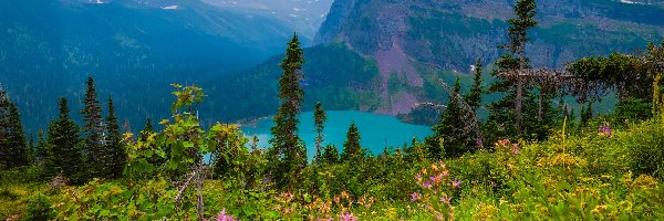 Łąka, Montana, Chmury, Grinnell Lake, Drzewa, Góry, Jezioro, Park Narodowy Glacier, Stany Zjednoczone, Rośliny