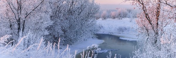 Rzeka, Oszronione, Drzewa, Poranek, Śnieg, Zima