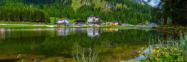 Domy, Dolomity, Jezioro, Kwiaty, Kaczeńce, Góry, Prowincja, Lago di Misurina, Las, Włochy, Belluno, Kamienie, Omszałe, Drzewa