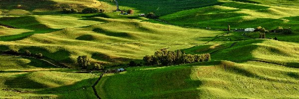 Wzgórza, Stan Waszyngton, Drzewa, Domy, Palouse, Pola, Łąki, Stany Zjednoczone