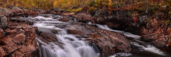 Drzewa, Pożółkłe, Skały, Rzeka, Jesień, Norwegia, Wyspa Senja, Kamienie, Góra