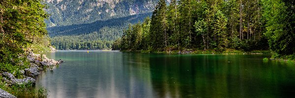 Drzewa, Bawaria, Odbicie, Lasy, Alpy Bawarskie, Jezioro, Eibsee Lake, Niemcy, Góry, Kamienie