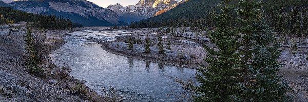 Park Narodowy Jasper, Athabasca, Drzewa, Kanada, Rzeka, Góry Skaliste