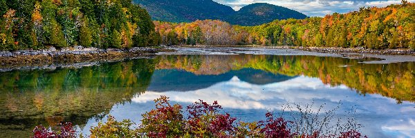 Lasy, Jordan Pond, Park Narodowy Acadia, Stan Maine, Stany Zjednoczone, Bubble Mountains, Góry, Jezioro, Roślinność