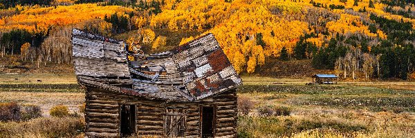 Góry, Kolorado, Drewniana, Szopa, Crested Butte, Jesień, Drzewa, Stany Zjednoczone