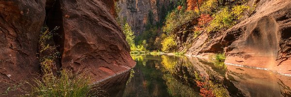 Skały, Arizona, Drzewa, West Fork of Oak Creek, Sedona, Wąwóz, Rzeka, Stany Zjednoczone