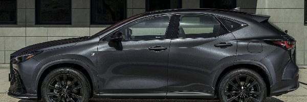 Sport, F, Lexus NX