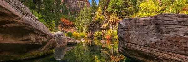 Rzeka, Wąwóz, Sedona, Arizona, Stany Zjednoczone, Odbicie, Drzewa, Skały, West Fork of Oak Creek