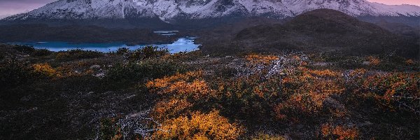 Jesień, Park Narodowy Torres del Paine, Góry, Roślinność, Patagonia, Chile