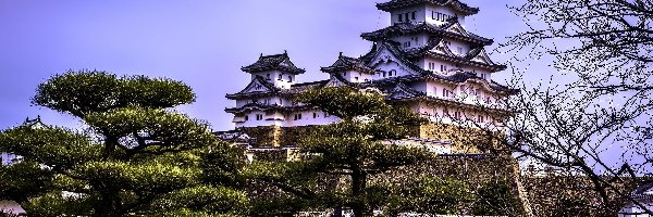 Zamek Himeji, Himeji, Zamek Białej Czapli, Azja, Japonia