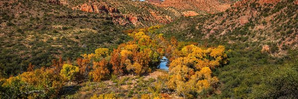 Stany Zjednoczone, Góry, Rzeka, Drzewa, Jesień, Arizona, Kanion Sycamore