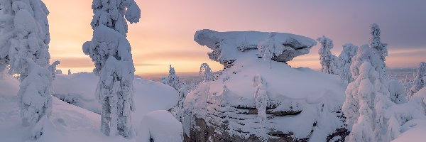 Drzewa, Ośnieżone, Skały, Zima