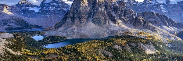 Lasy, Góry Skaliste, Mount Assiniboine, Jeziora, Alberta, Kanada