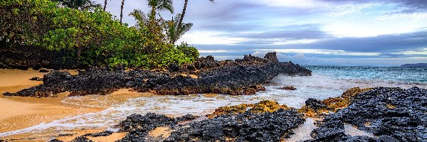 Skały, Palmy, Stany Zjednoczone, Hawaje, Plaża, Secret Beach, Maui, Morze