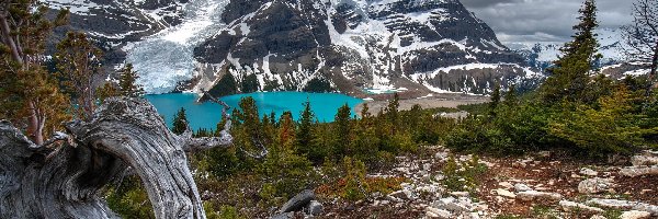 Mount Robson, Jezioro, Kanada, Góra, Drzewa, Kamienie, Kanadyjskie Góry Skaliste, Park Prowincjonalny Mount Robson, Berg Lake, Chmury