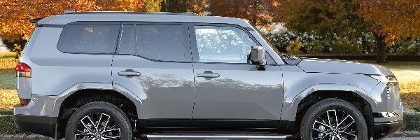 Bok, Lexus GX, Popielaty
