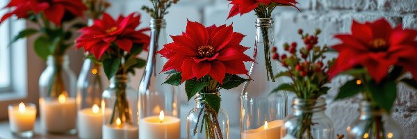 Szklane, Świece, Naczynia, AI, Gwiazda betlejemska, Kwiaty
