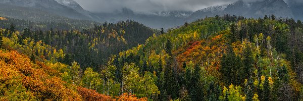 Góry, Drzewa, Jesienne, Chmury, Ciemne