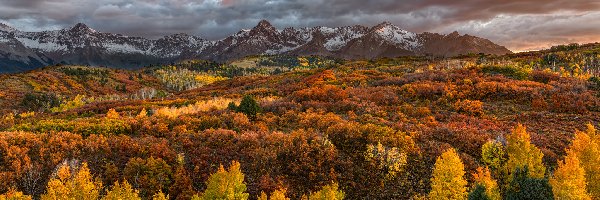Drzewa, San Juan Mountains, Stany Zjednoczone, Kolorado, Jesień, Niebo, Chmury, Góry