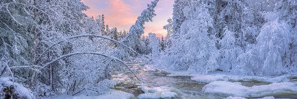 Zima, Ośnieżone, Rzeka, Roślinność, Drzewa